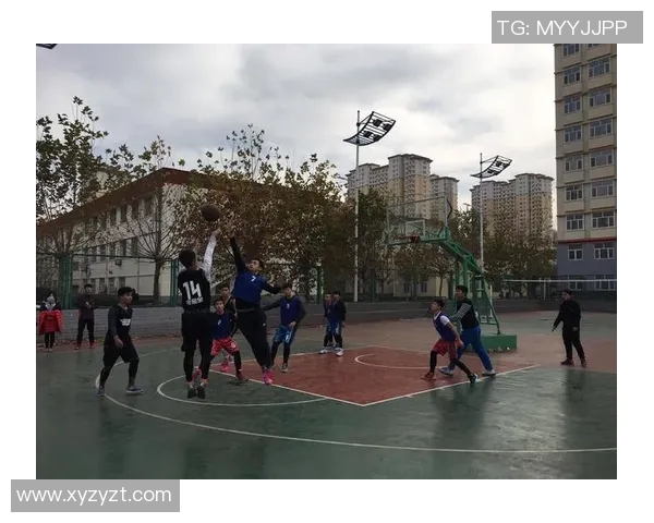 刘睿篮球明星的成长之路与辉煌成就揭示运动员背后的奋斗精神与坚持信念